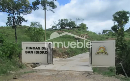 Fincas de San Isidro